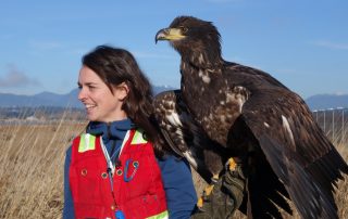 Emily and Hercules, the Bald Eagle, scan the shoreline for targets at YVR